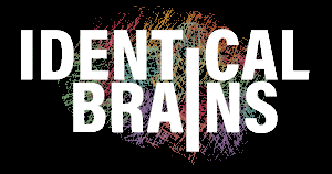 Identical Brains Studios Limited
