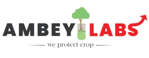 Ambey Laboratories Limited