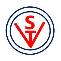 Vibhor Steel Tubes Limited