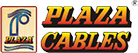 Plaza Wires Limited