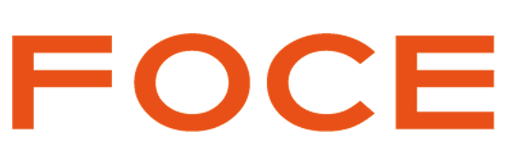Foce India Limited